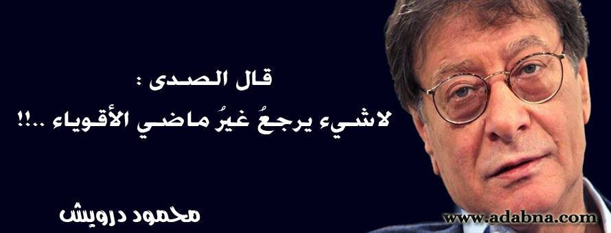 alimemo1968's profile picture. 