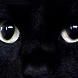 CoisaCada's profile picture. Segue? Sigo de volta ;D