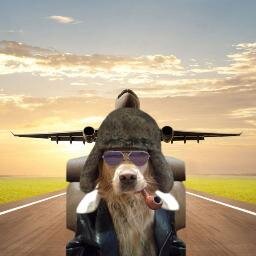 ✈ ✈ ✈Charlie Delta Center Aeronautical Information Portal / Charlie Delta Center Havacılık Bilgilendirme Portalı  ✈ ✈ ✈   https://t.co/yqVC7UMwD4