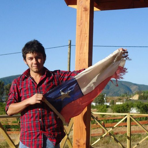 Ingeniero Comercial