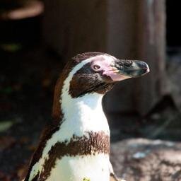 CRMManagerJL's profile picture. 