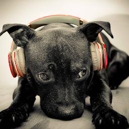 Whats up everyone!
Welcome to my channel!

Take a look at some of my mixes,!:)
Please Follow and share my channel with friends if you like what you hear!