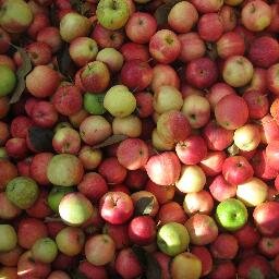 lori_racca's profile picture. 