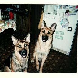 I am a mother of two adult children, I raise chicken and turkeys, 3 German sheperds 
 and love my garden. I just want peace and love