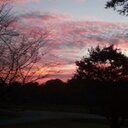 Marty Richardson - @jrbjmarty - Twitter