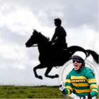 horse racing nut