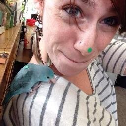 lstrassberg's profile picture. 