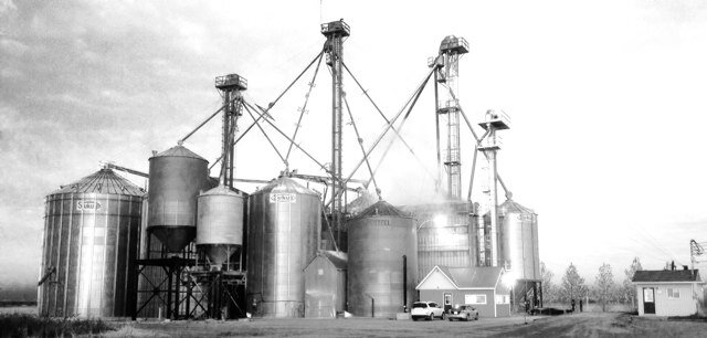Entreprise familliale 4ieme generation 3000 acre commerce,maïs,soya,ble,le dollars can/us.Fait notre farine et pâte avec notre blé Minotrie 1880