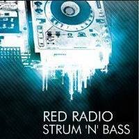 Pioneers of Rock vs Electronic fusion. I hereby give you Strum n Bass on RED radio we're your best radio friends :D