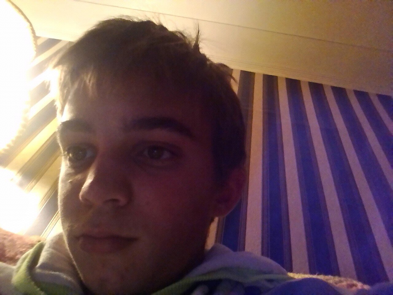 minicree's profile picture. 