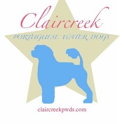 Portuguese Water Dog   Breeder/ Owner/  of: Claircreek Impression De Matisse
DONNA GOTTDENKER