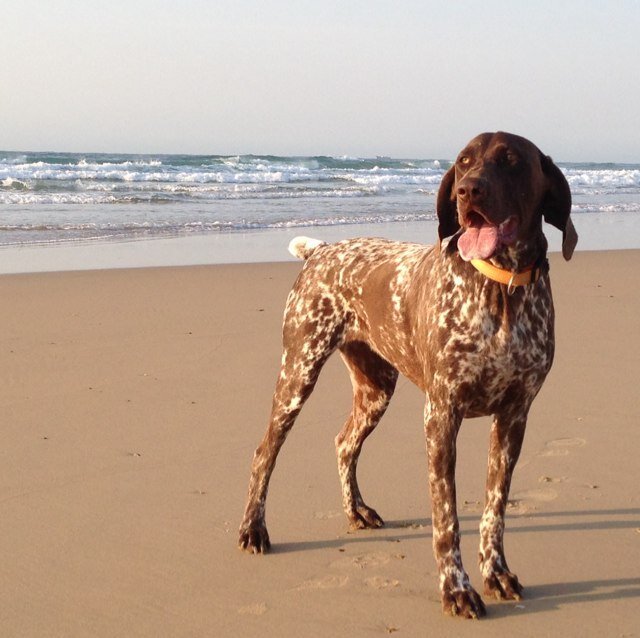 scottcroney's profile picture. SCOTT CRONEY AGENCIES