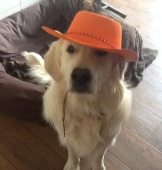 MadelonZwerinkx's profile picture. loveyaa xx nicole