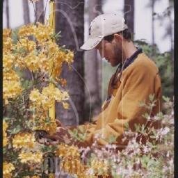 DerrickCatlett's profile picture. Arborist