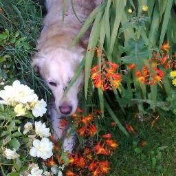 sheilarutherfo4's profile picture. 