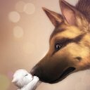 Rachel Poe - @RachelPoe1 - Twitter