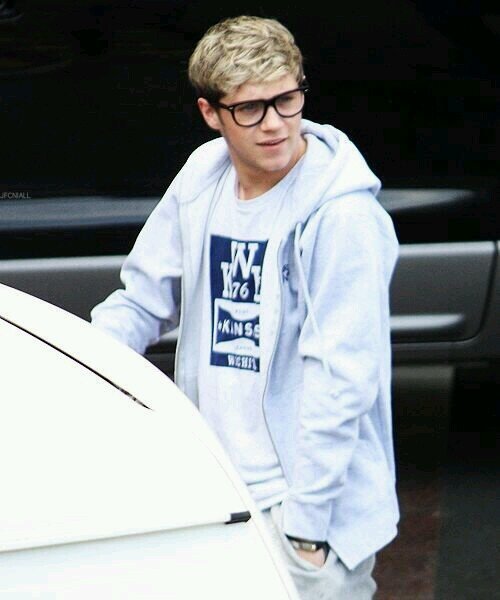 Niall horan || 20 || single || barbs aka migliore amica || justin aka my love