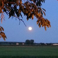 Enrico Pivetti (@step812008) 's Twitter Profile