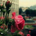 * (@05Meme99z) Twitter