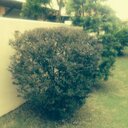 joseph seak seng foo - @FooSeakseng - Twitter