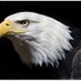 eagleeyeione (@eagleeyeione) Twitter profile photo eagleeyeione (@eagleeyeione) Twitter profile photo