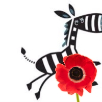Zoe Sills (@zoezebra) 's Twitter Profile Photo Zoe Sills (@zoezebra) 's Twitter Profile Photo