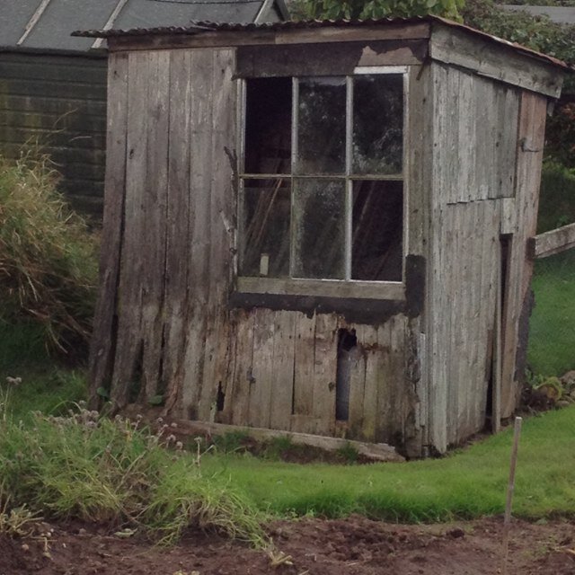 My views and the views from a Cumbrian allotment. When not on the allotment, I co-own Eden Insulation and manufacture super efficient Passivhaus timber frames