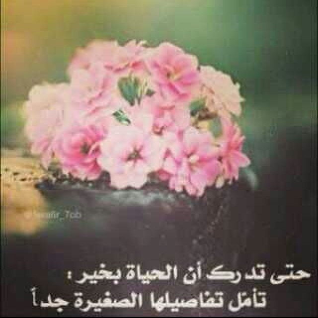 الريآض