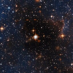 skrasii's profile picture. 