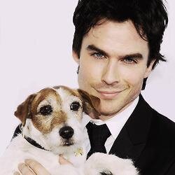 We Are Somerholics ♥