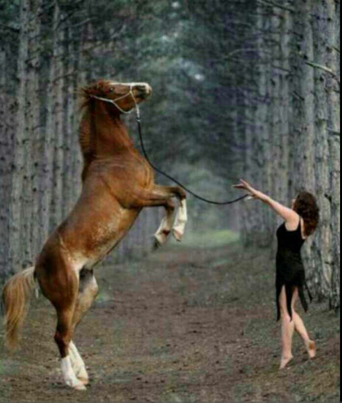 ‏‏‏سبحان الله وبحمدة