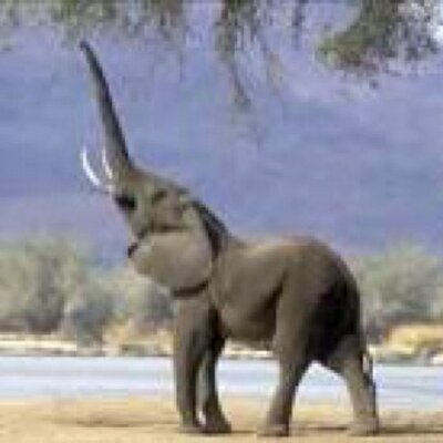 Taint (@TaintOfficial) | Twitter