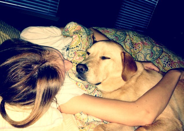 LorrynGrady's profile picture. I can't believe I'm doing this...must be the allergy meds.