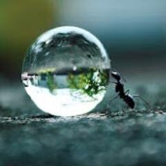 huseyinartos's profile picture. hakikatin peşinde bir arayışçı