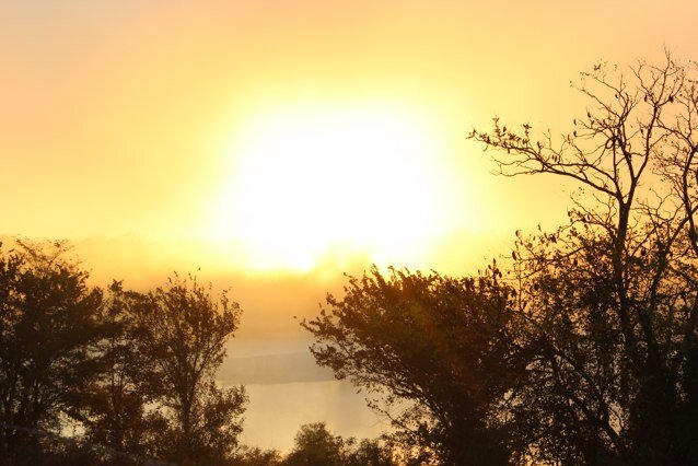 Mustng's profile picture. 