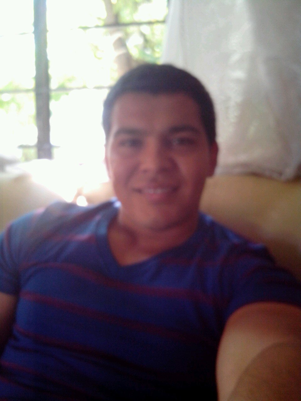 halconmayor cbtis236