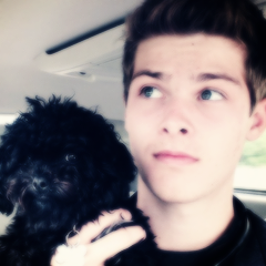 3rd brazilian twitter page totally dedicated to Restless Road ♡ 4/4 ♡ I follow back, just ask :)