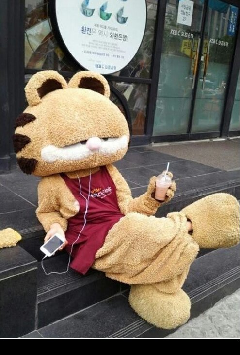 tevobk8517's profile picture. 