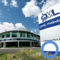 qmlpathology's profile picture. This account is not actively monitored. 
Please see our website for more information about QML Pathology contacts and services.
