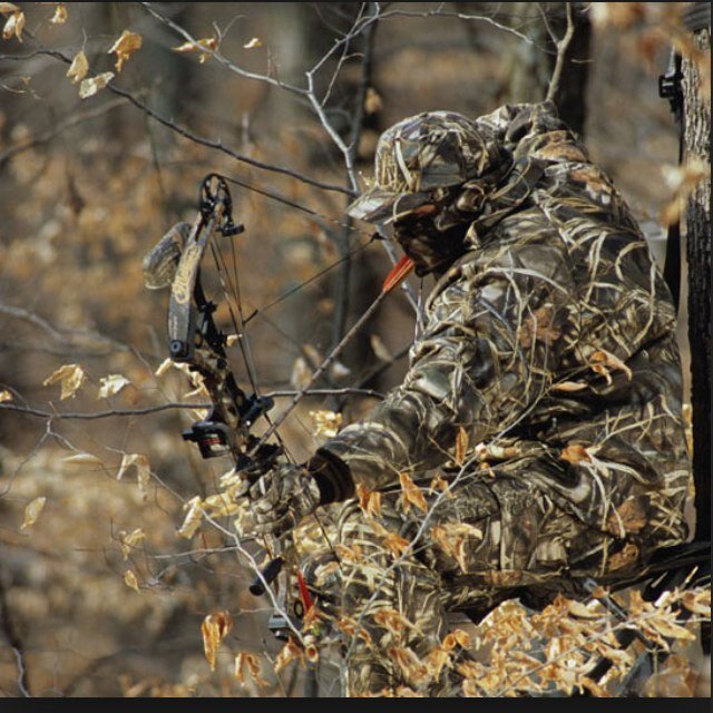 It's all about hunting, hockey, and fishing.