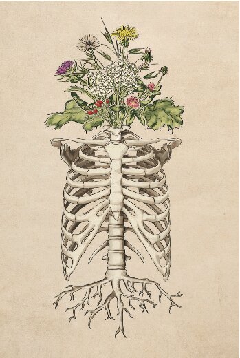 Apoth_Sirona's profile picture. Handcrafted herbal products designed to promote your body's natural ability to heal.