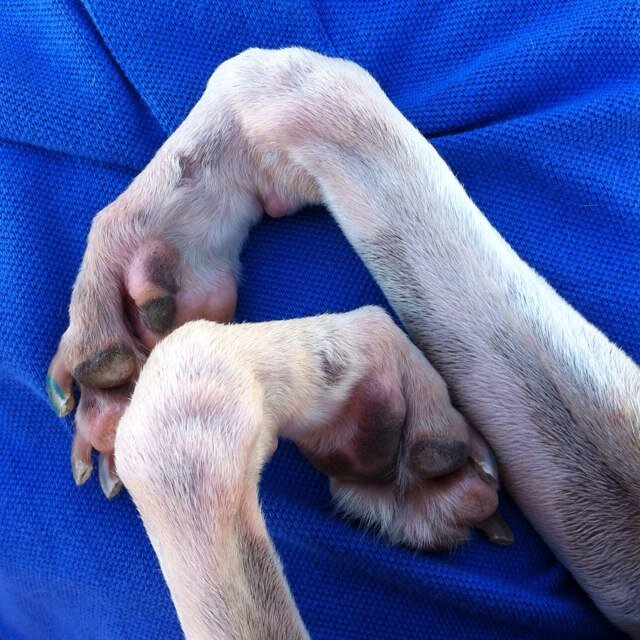 heatherchlebana's profile picture. 