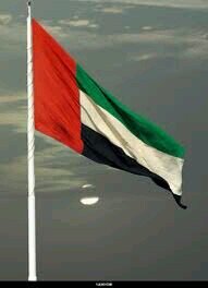 Hi,check out for BlackBerry Messenger no 29221d6f, SKYPE Acc Name drabokaier, my yahoo Messenger mohdaboelkheir@yahoo.com And tel00971505389945 good-bye to SMS
