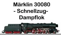 Alles für den Modellbahnfan Märklin Roco Piko und Fleischmann
