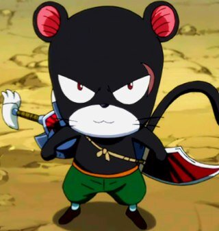I was once the Magic Militia's First Division Commander of the Royal Army of the kindgom of Edolas. Now I'm a member of Fairy Tail. @GajiruRedfokusu's partner.