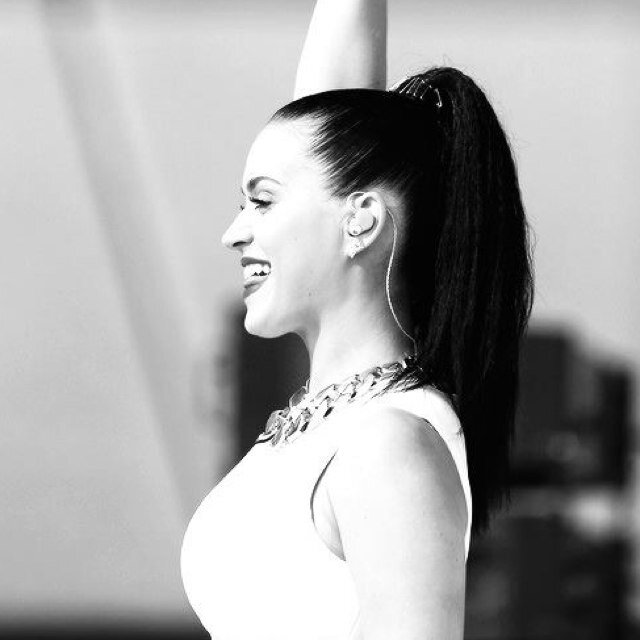 Selenator desde Barney, Swifter desde Fearless, Directioner desde The X Factor, Lovatic desde Camp Rock