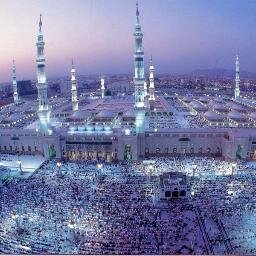 NABILDZ31's profile picture. 