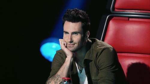@adamlevine & @danielsahyounie  ♥

@janoskians & @maroon5  ♥ 

Beau & James follows ♥

Ask for a follow.

[2/5] ♥