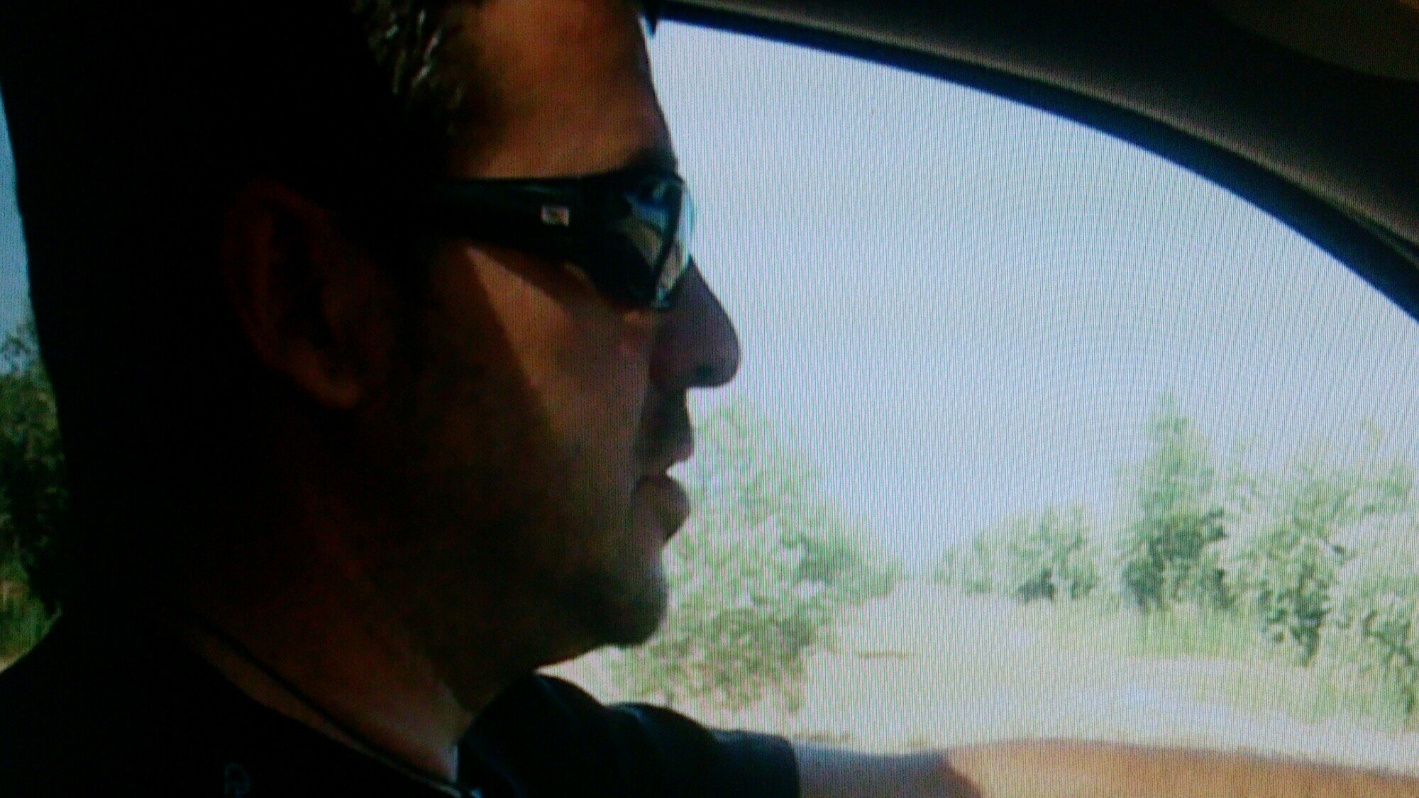 JaviHDD's profile picture. En tiempo y forma....