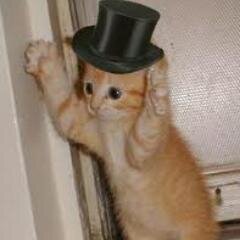 tap dancing librarian,who can hold a tune or 2